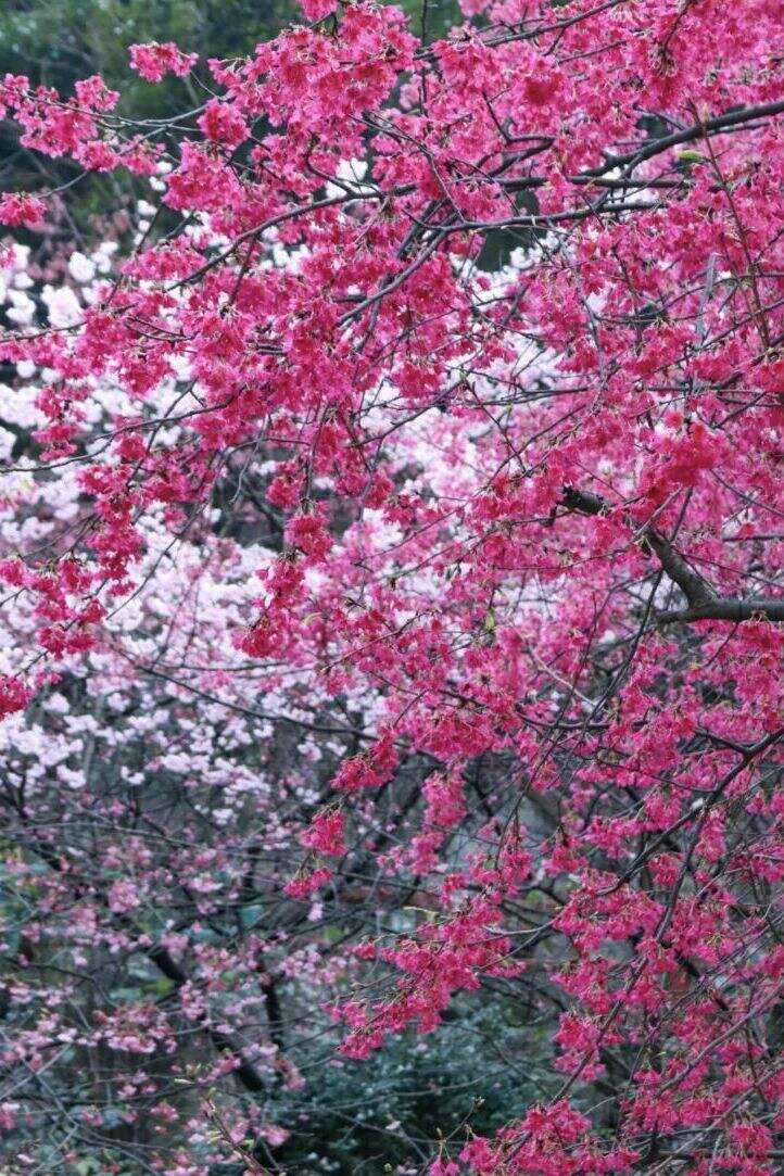 00000000geGqtGEBjcUMHAhr