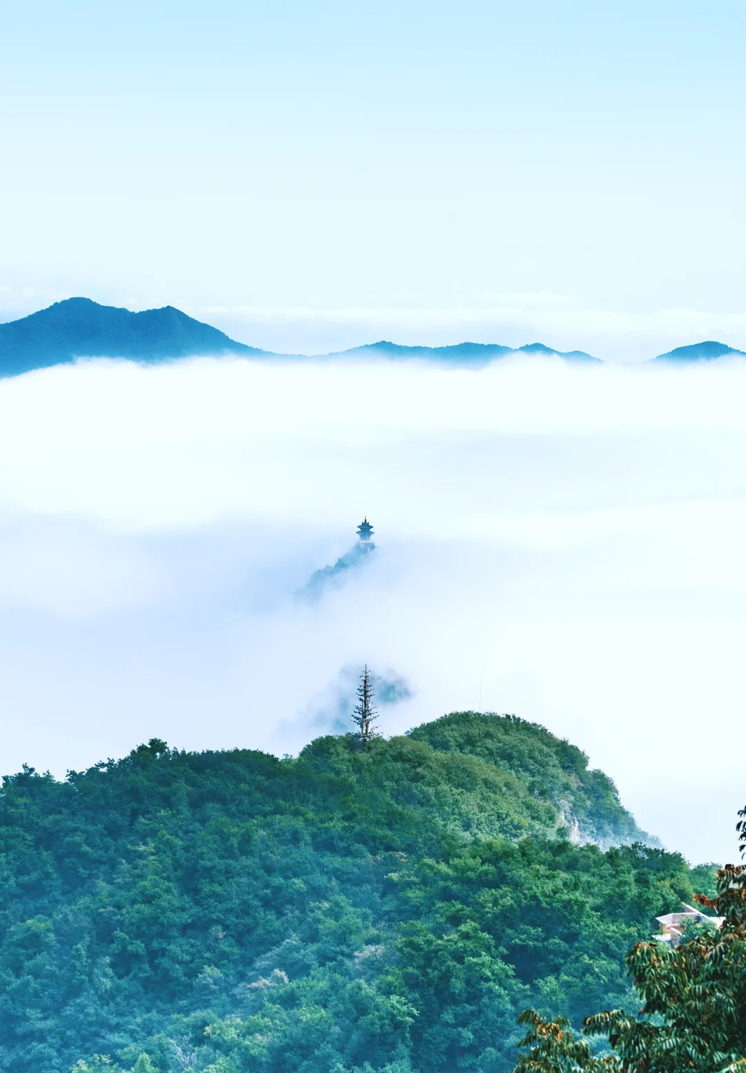 00000000gwghtjJPJzBoYaJX 00000000gwghtjJPJzBoYaJX