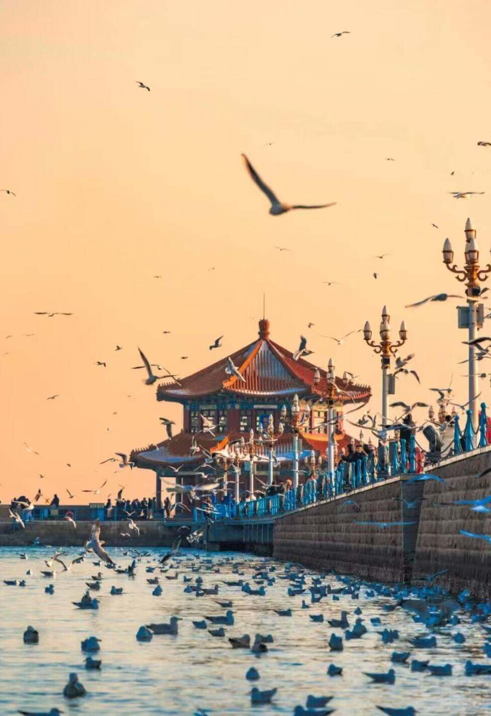 00000000hGJaPpVwYHYmVpVe