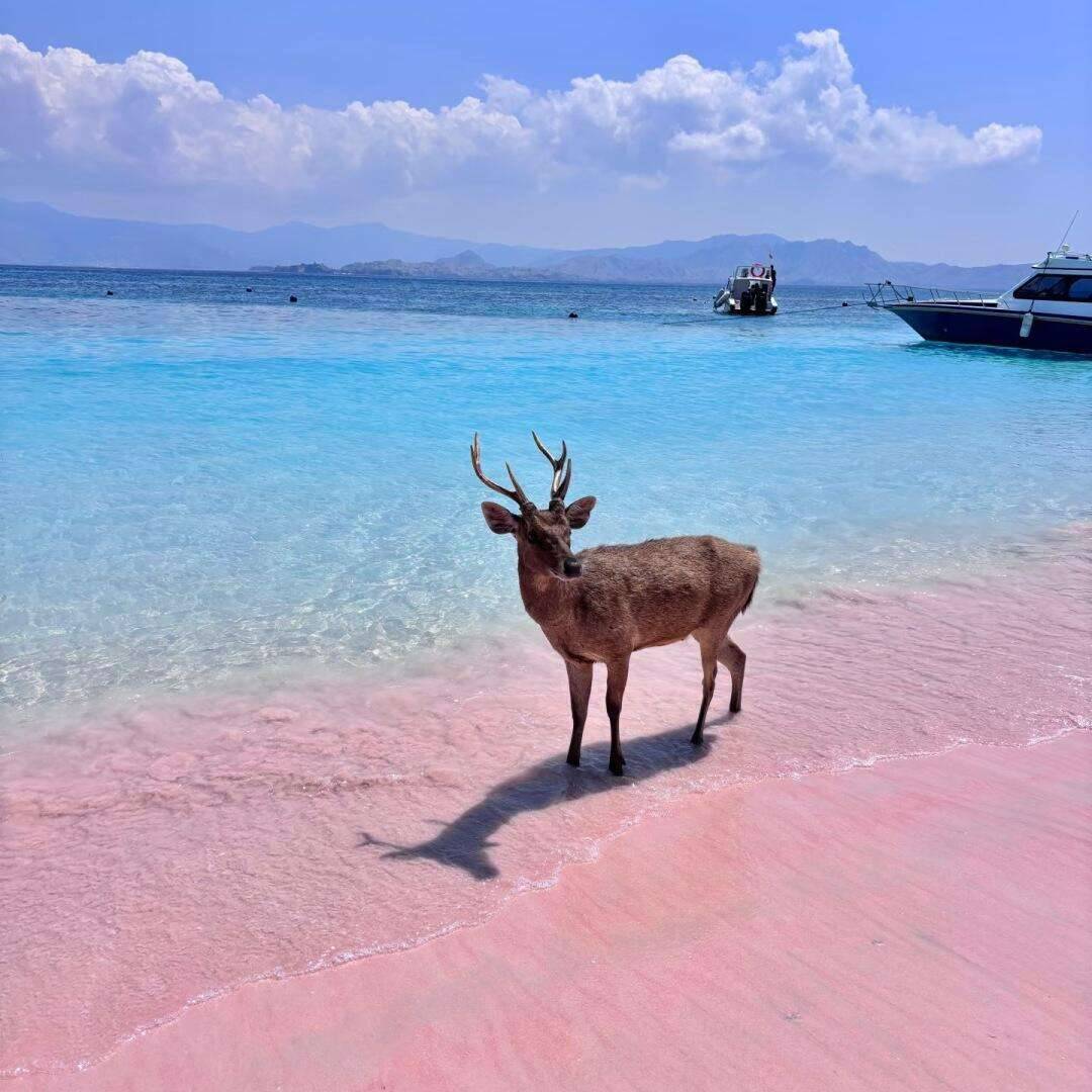 00000000henxIzmcoCyBaaUX