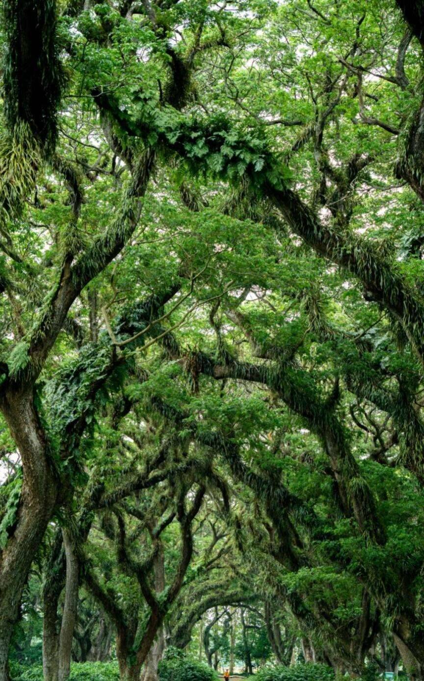 00000000iJlfykjolgINLale