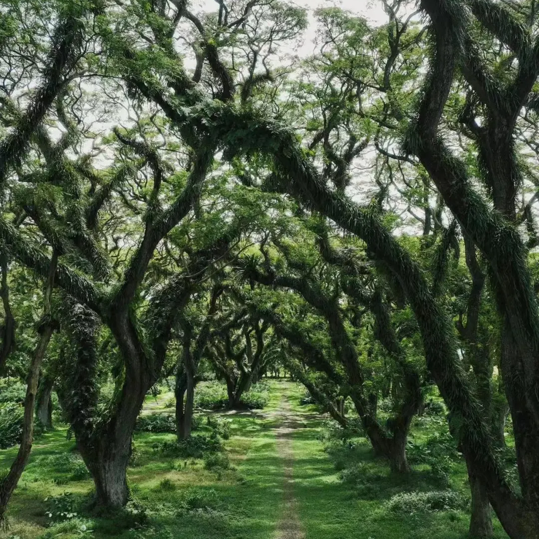 00000000iLDoVHLdBOtasojn