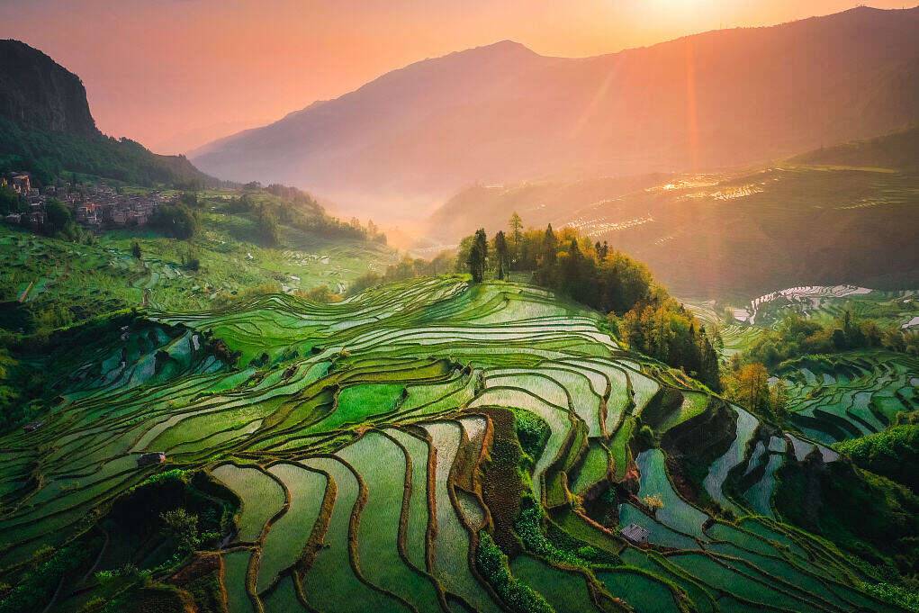 00000000igDfDvLfNuQSHKSu