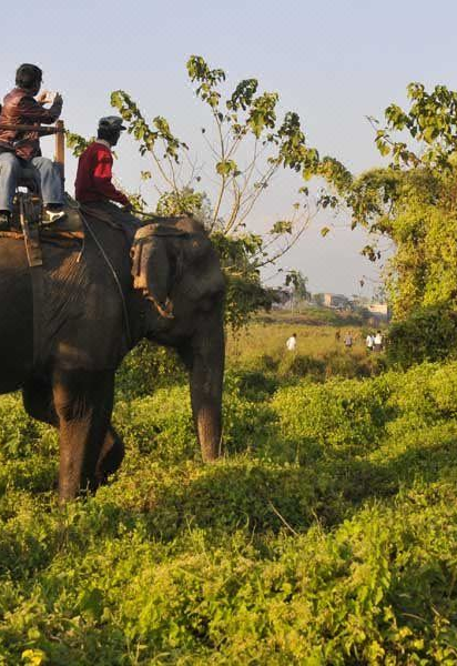 00000000itsVgtXWHEaoXUfl