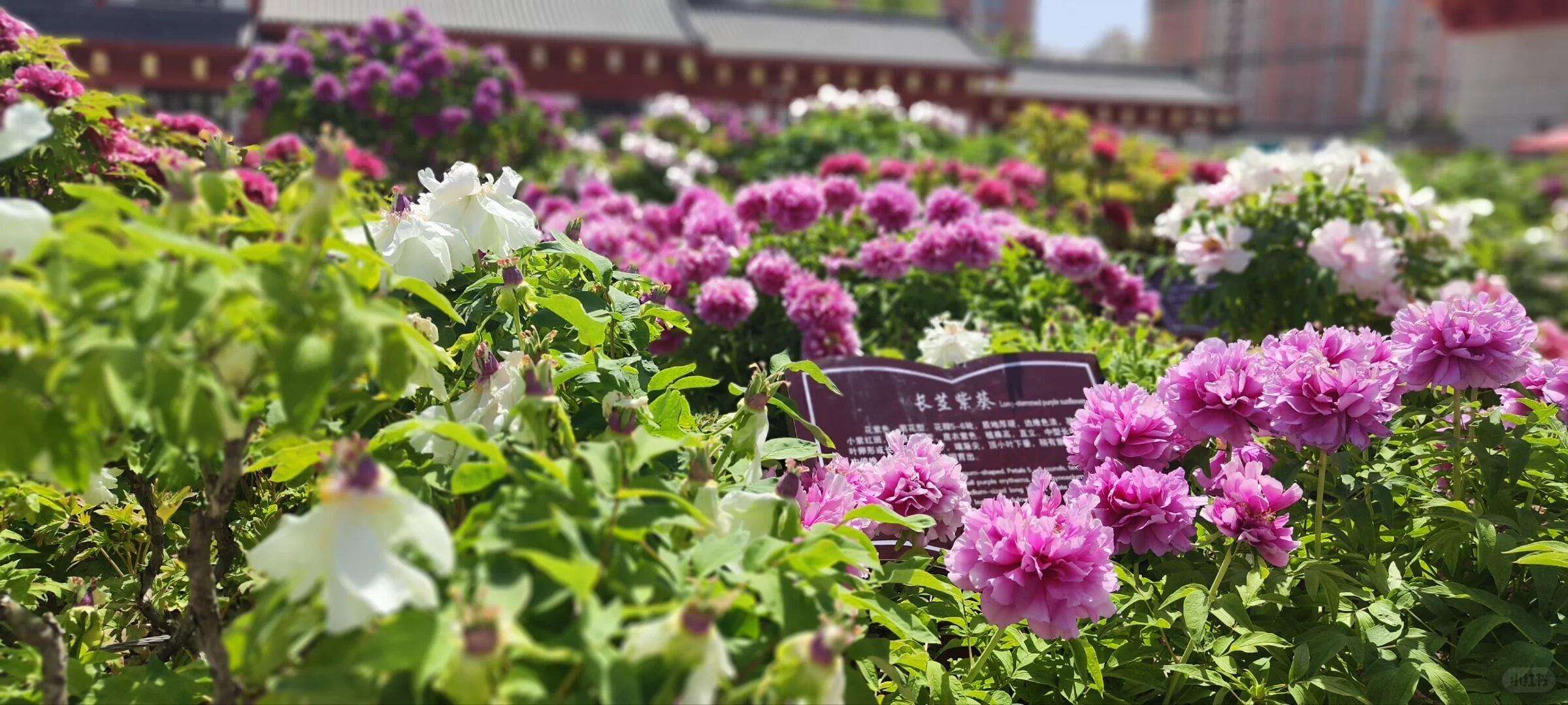 00000000jQWKaEKEKbcGWUKZ