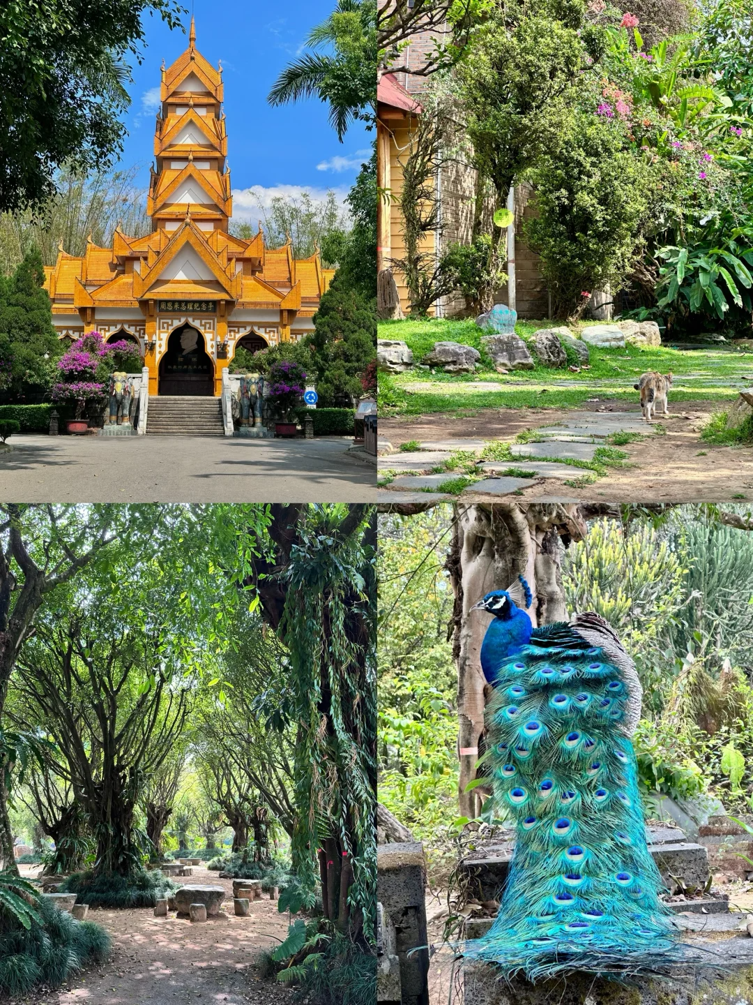 00000000kQQUXbEZMygWExFL