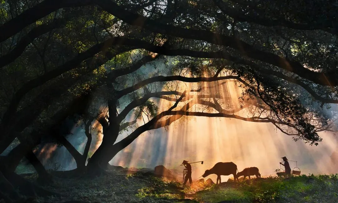 00000000lCupTsYFfvtksCyX