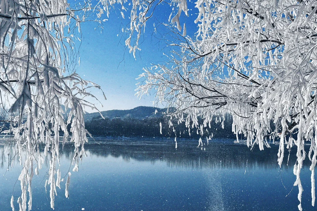 00000000lSFOlZKmLkdWmfZb