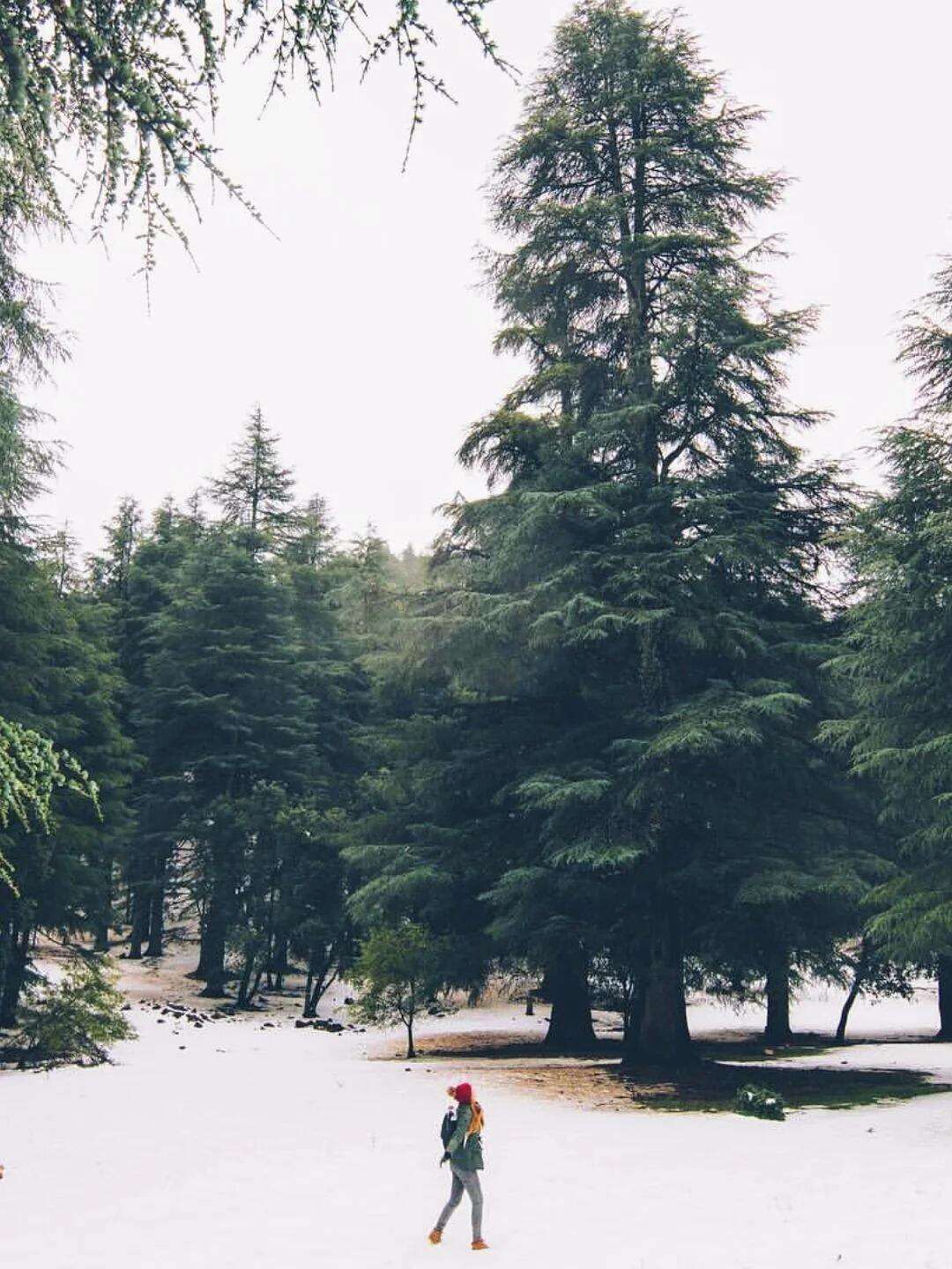 00000000lUGgNIwbErMIfZQS