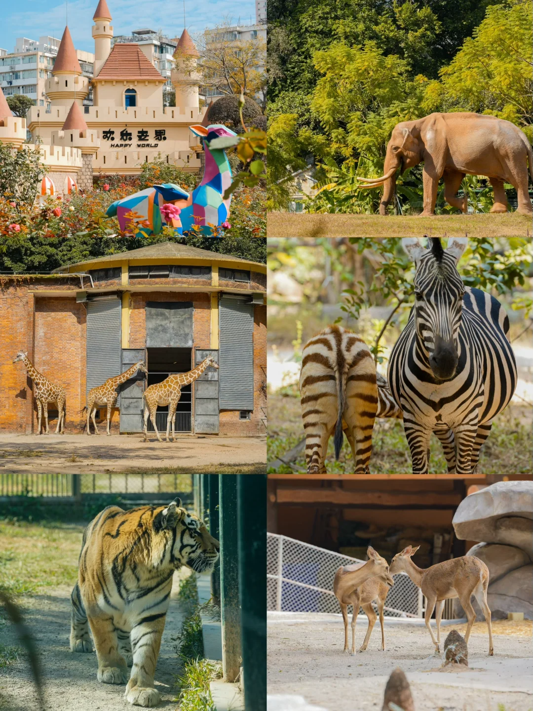 00000000lVSxKvbcmtphdmRm