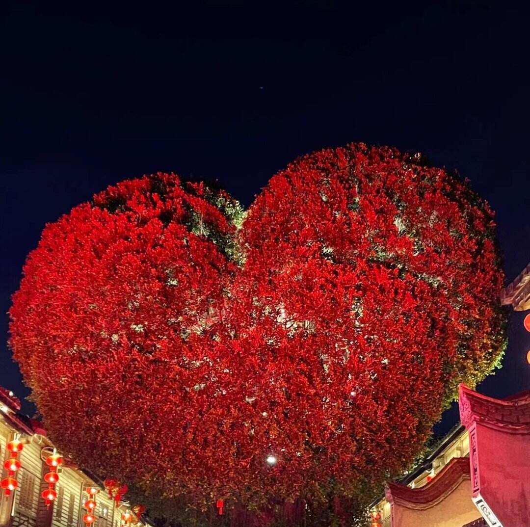 00000000mHJSyKtaQtIjEeaE