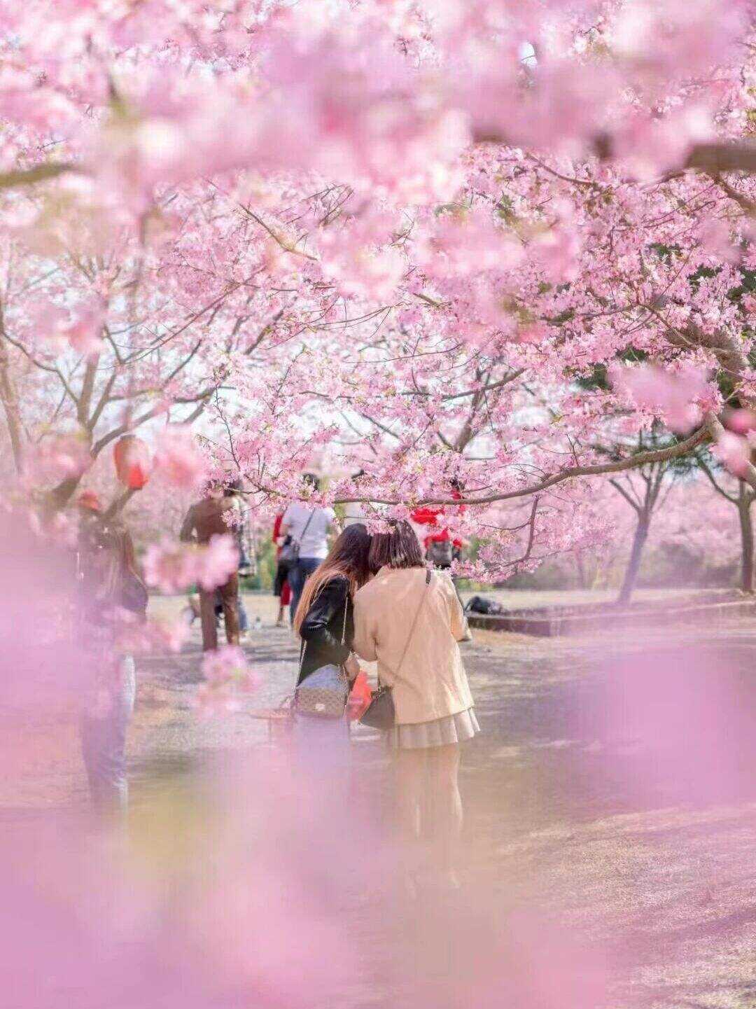 00000000mHVfzBhNwCRJZpvb