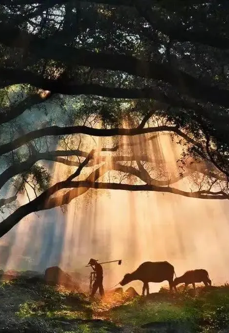 00000000mPZQyXldcXdqpqDd