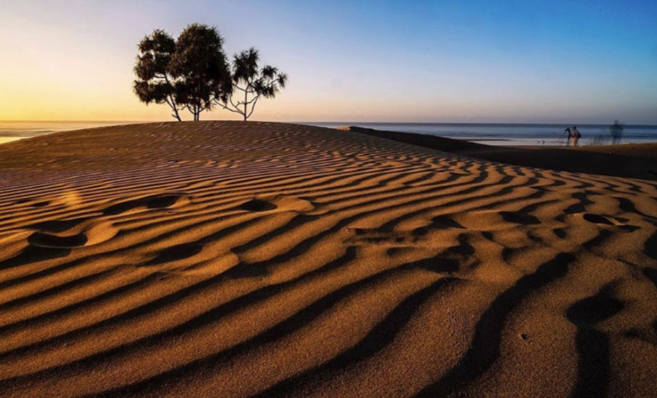 00000000mQvXEgalecVbSSYr