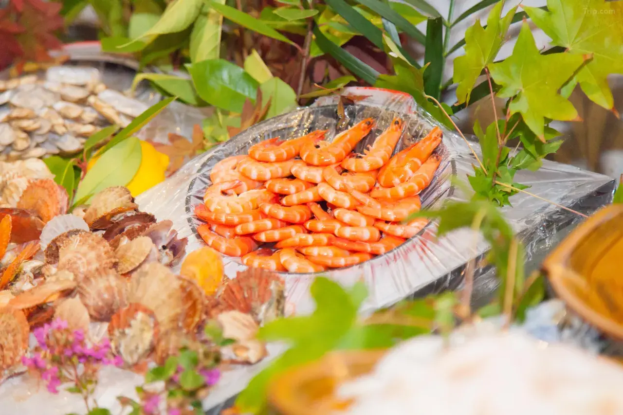 00000000meijaqJtjlScpbxZ