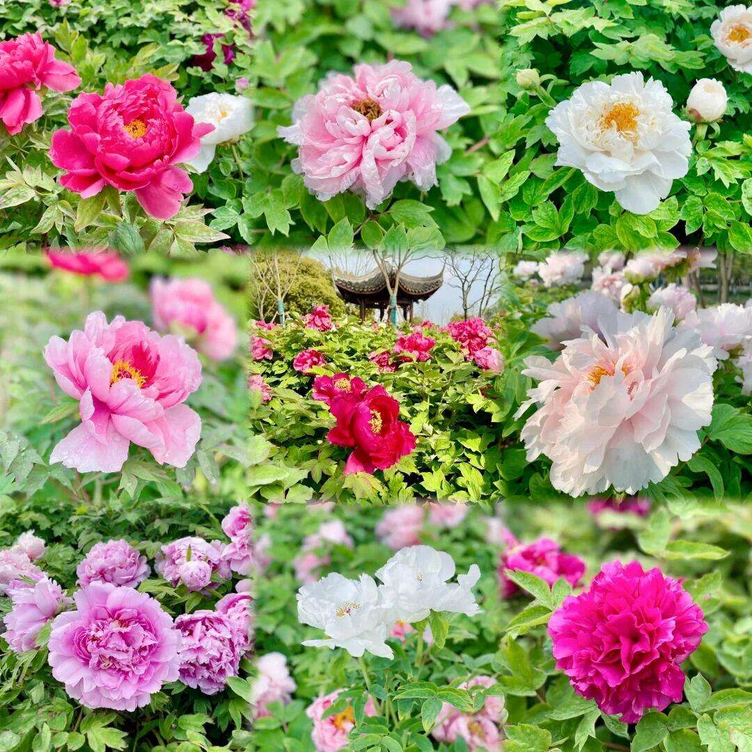 00000000mjzdFtrLXoUSdfCp