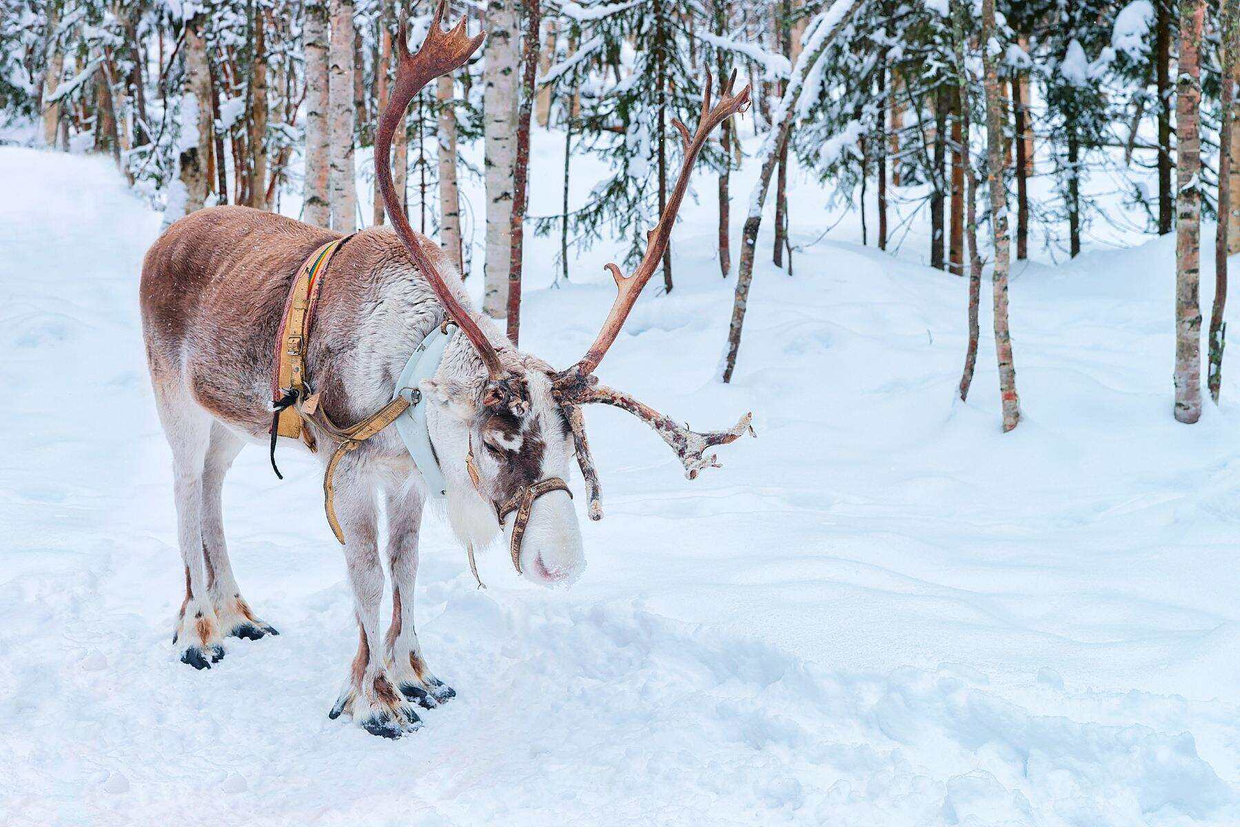 00000000nKDdhGuOFqzVOrNC