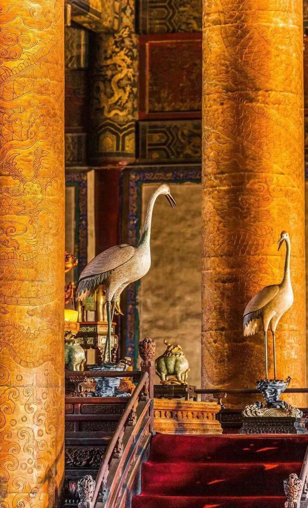 00000000nUaGZDwikIseOIoO