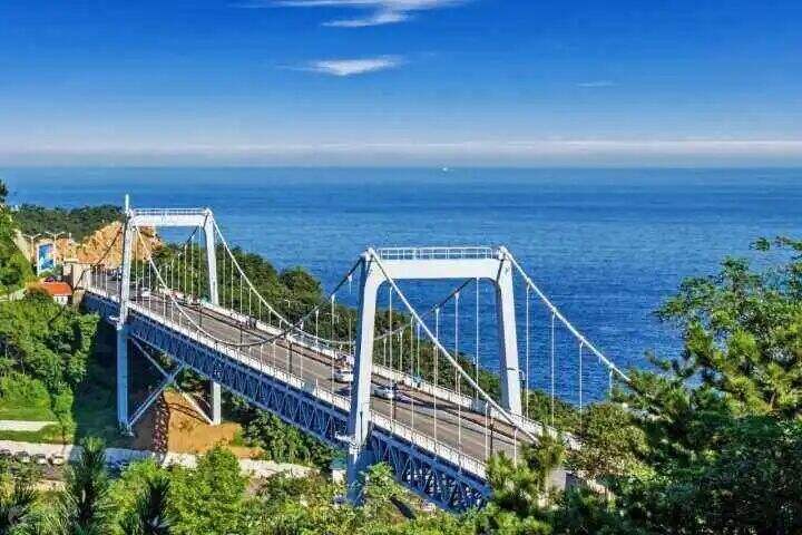 00000000nihMCTlJMeIZfyIn