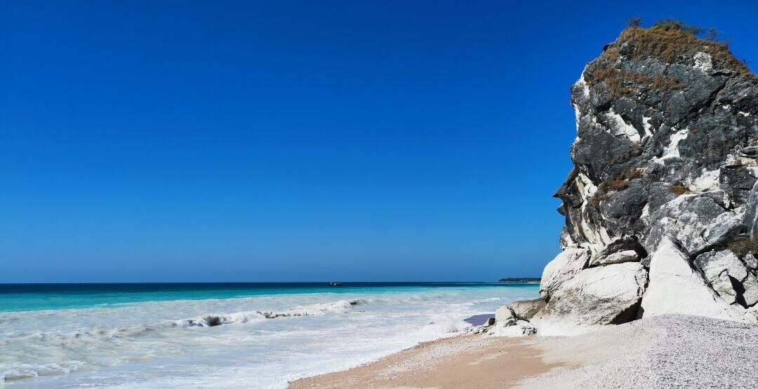 00000000nzJFFPdvFwedJOVj