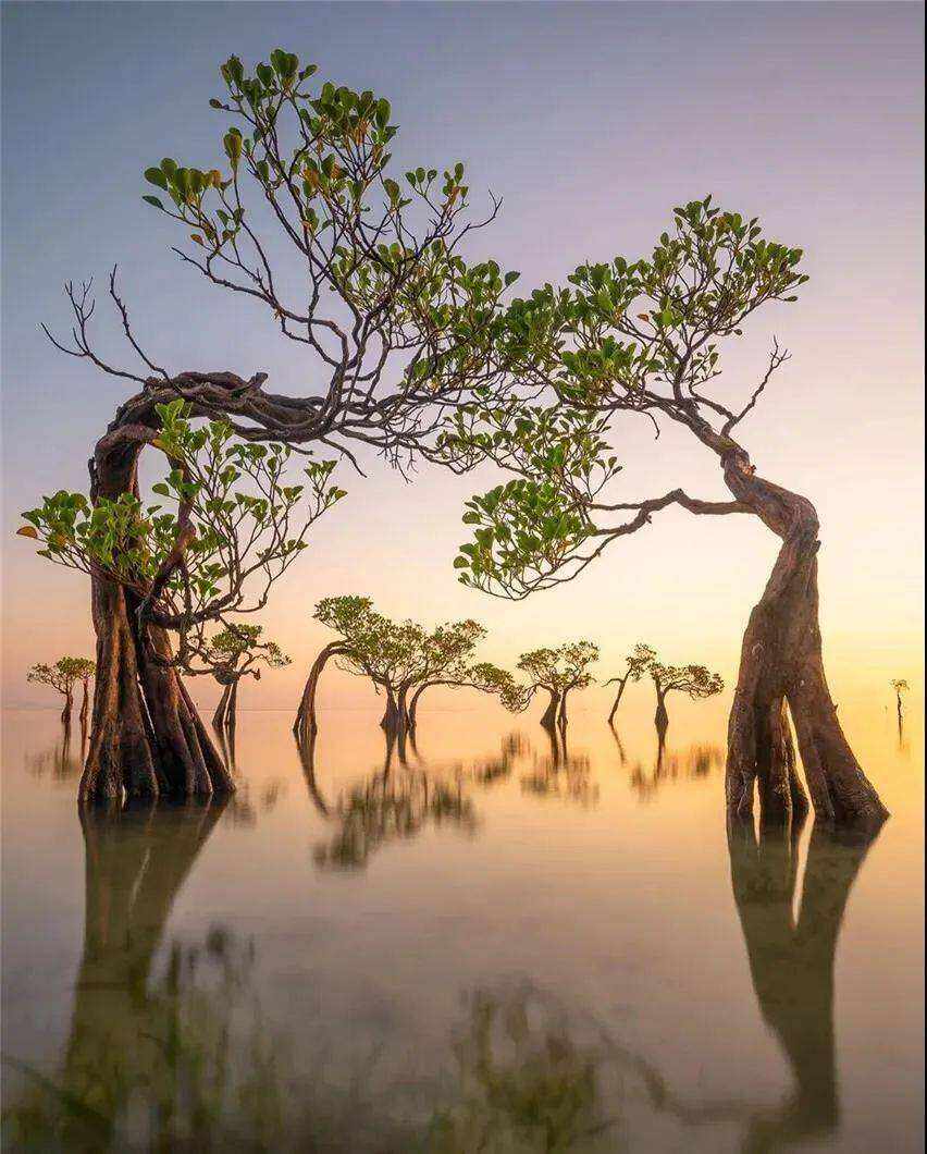 00000000oLYmgrDfcNTgMqnL