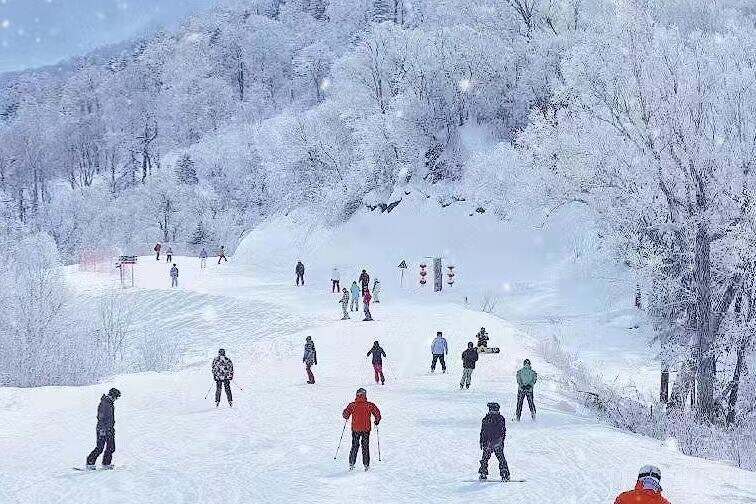 00000000oSCrMcTZAreetTNQ