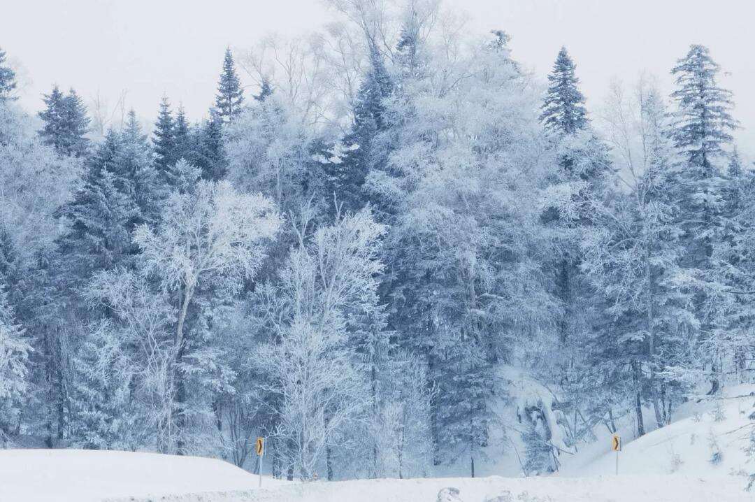 00000000oXSoXTyOKCDzdKpj