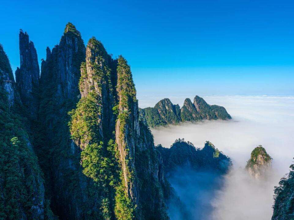 00000000odzMPmHIJVSgQppC