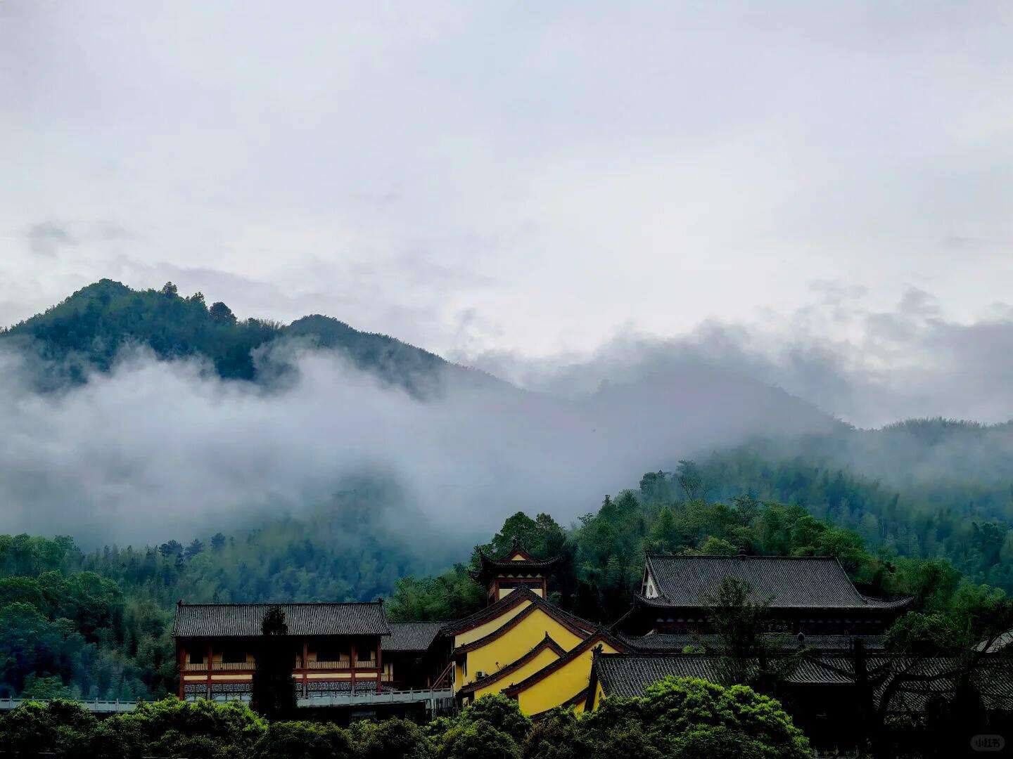 00000000ofMpHChLZUpFgZtq