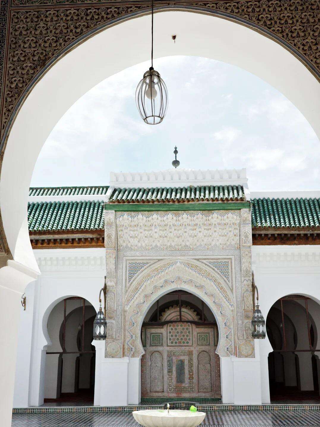 00000000opxAmUcqqUeCKGLu