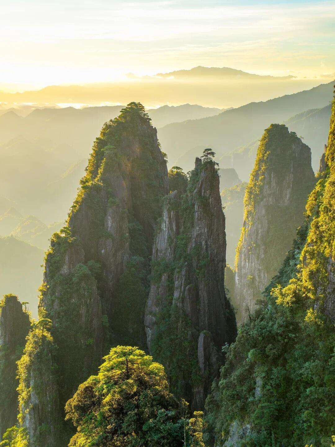 00000000owTsYproNpxBJurK