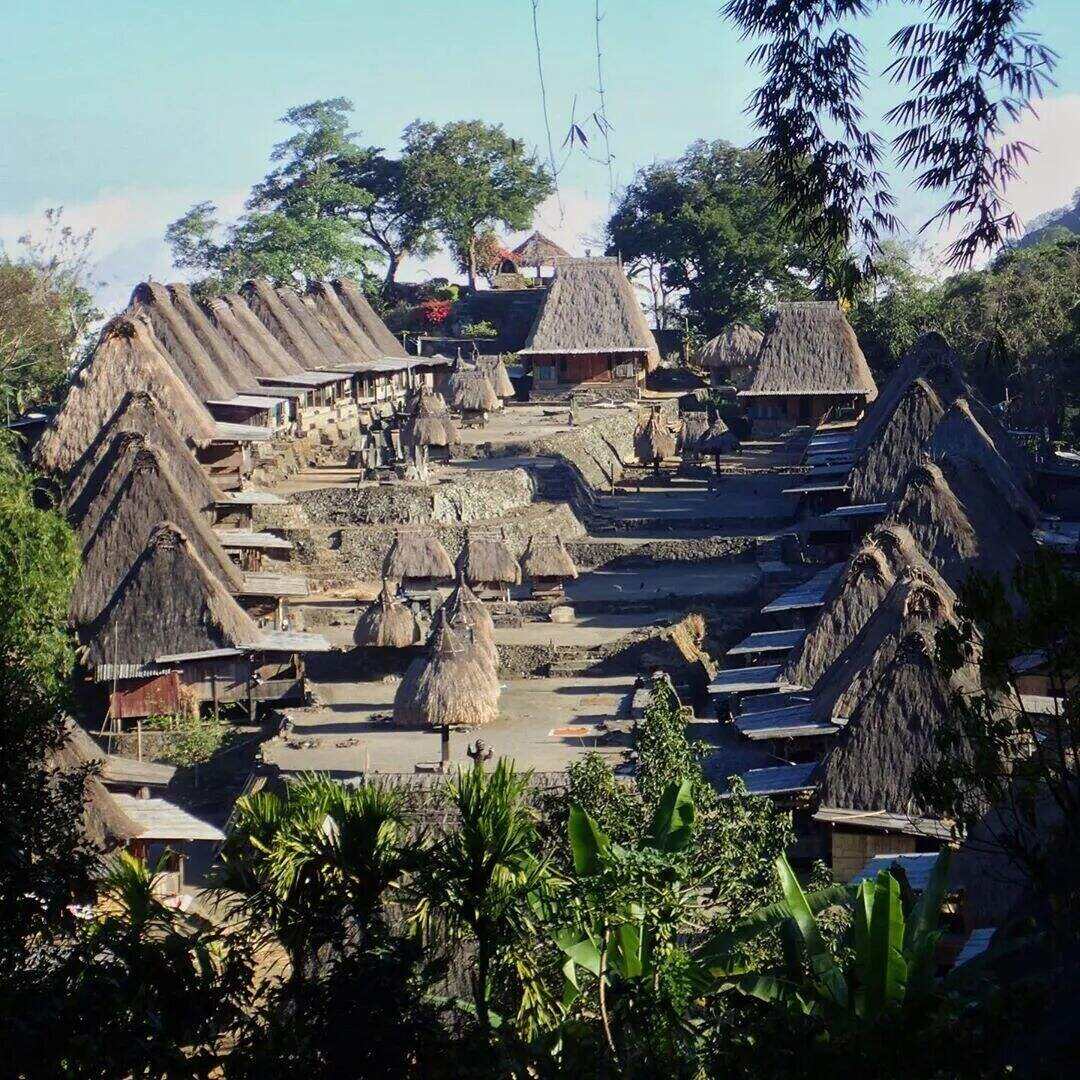 00000000pCyfDmlUkHrdhApj