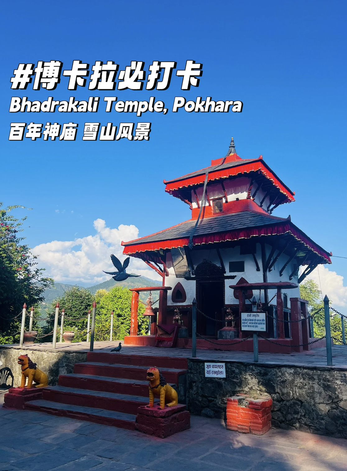 00000000pkYDjzXpGKbpugkk