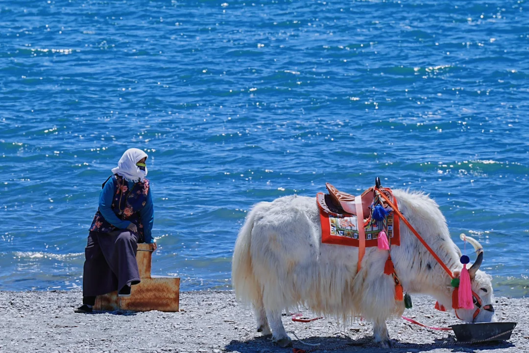 00000000plnnXYoodDYlmbhk