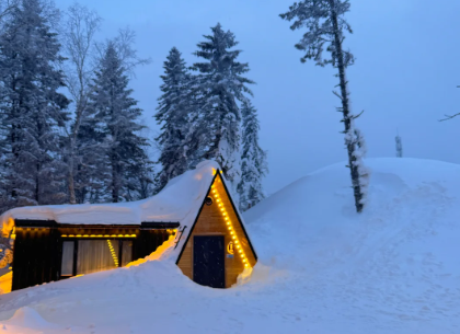 00000000puIDVMUjOtgcSWWx