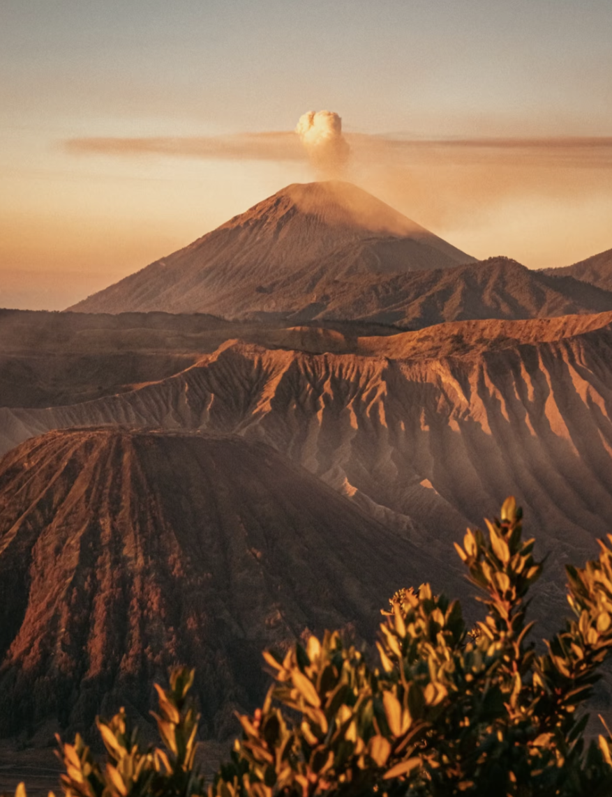 00000000qMMMVaIQUlhdwwRz