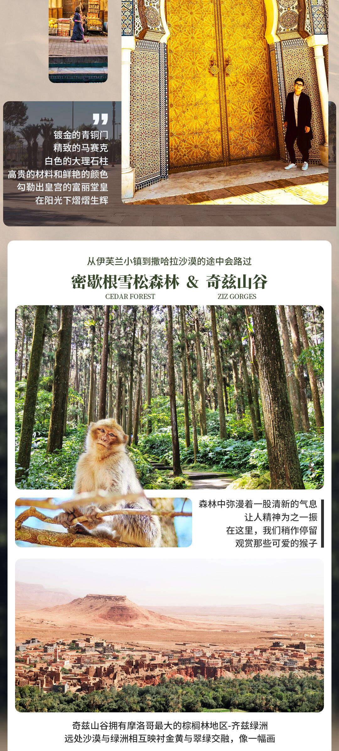 00000000qUAQRuQfHFwMofXO