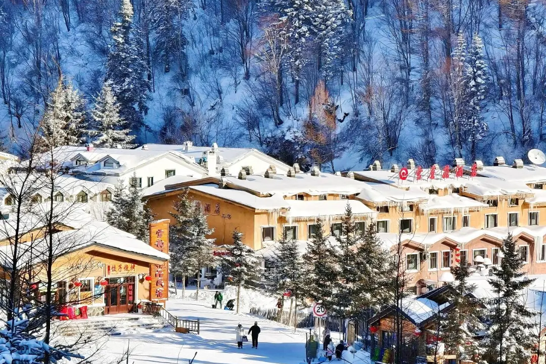 00000000qyWfioZQoqtdenmj