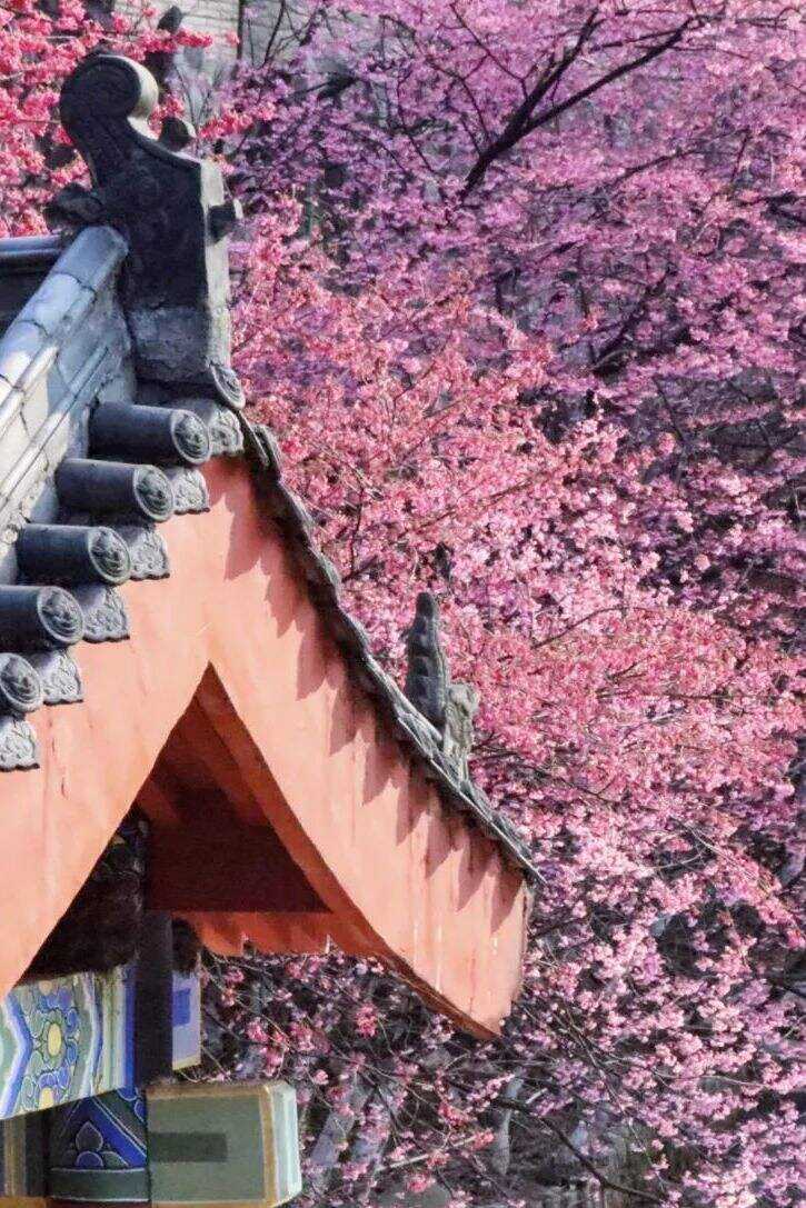 00000000rXZxSDzUZgXFEswu