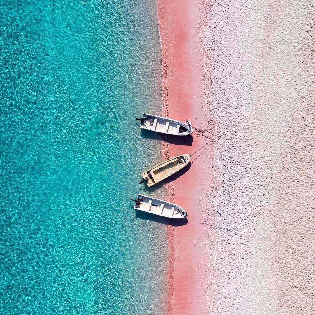 00000000rlaYJZXVZJrrwQrW