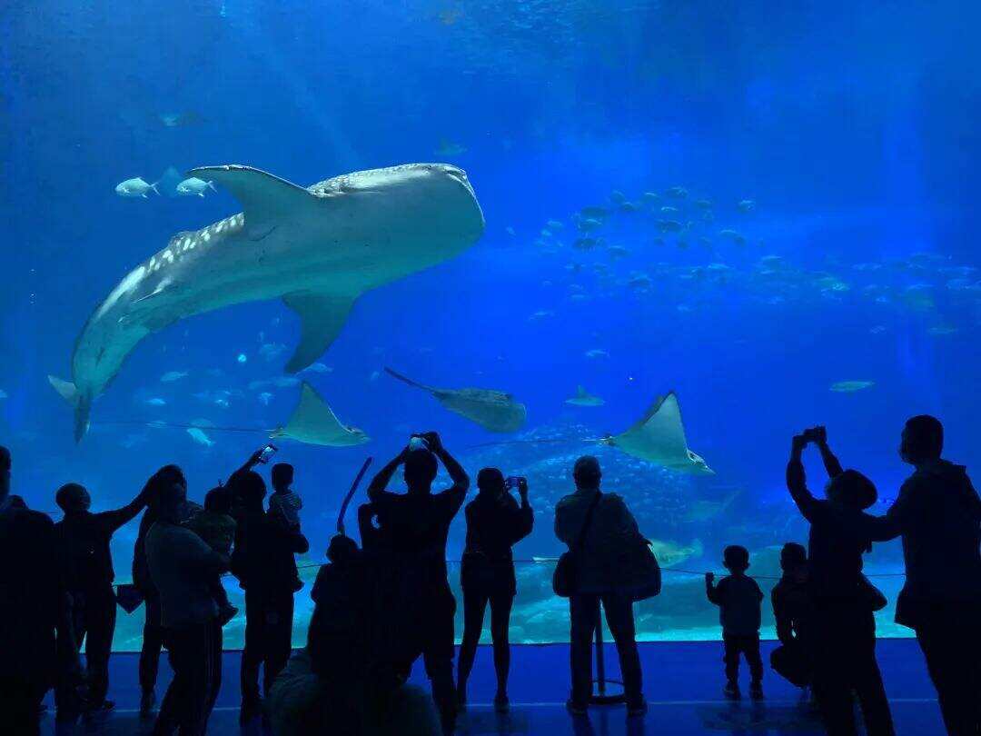 00000000rmsbubPQFBiZCorX