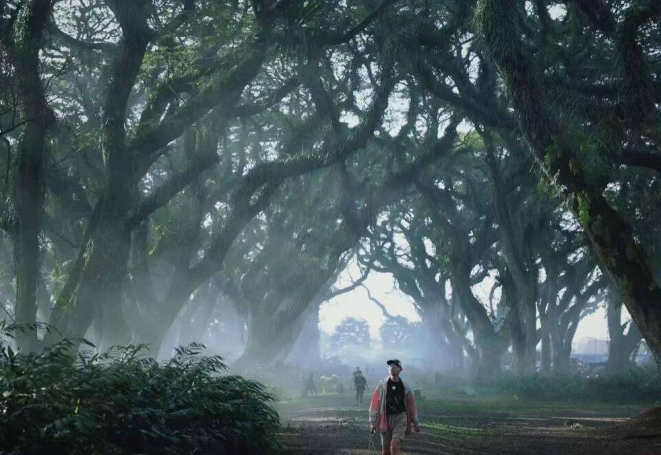 00000000sOqKWLvwXJthVWJs