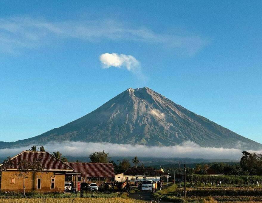 00000000sPWRZEEkZogyhwIV