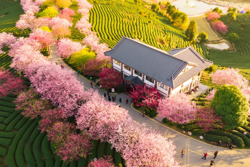 00000000sSQDkUIfqPTjWpxo