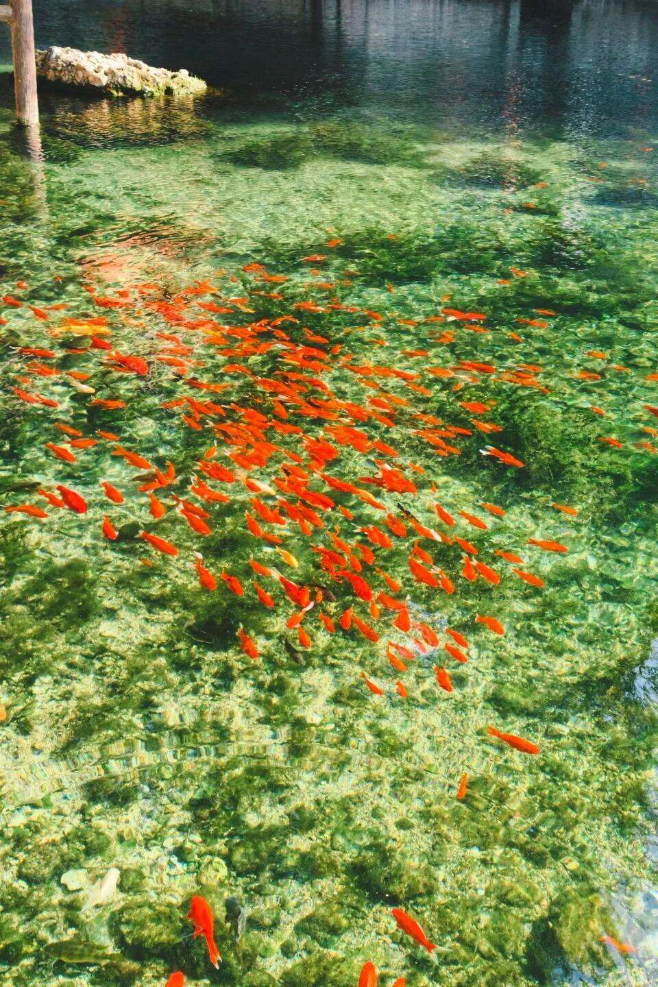 00000000sYBKsTPCCDwCDlHY