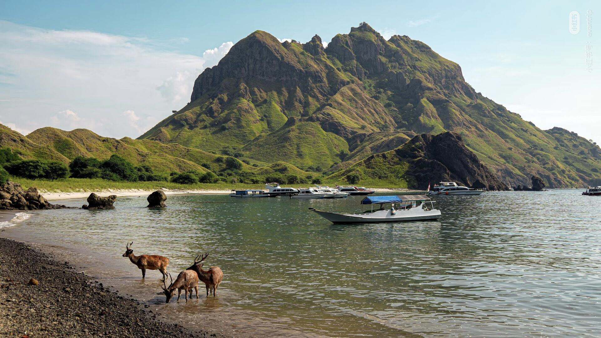 00000000tGHrnffibreLWoqt