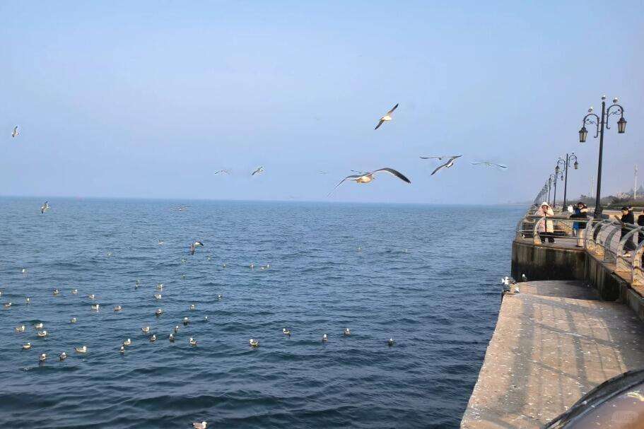 00000000tKvFwNCGiuOWQEdS