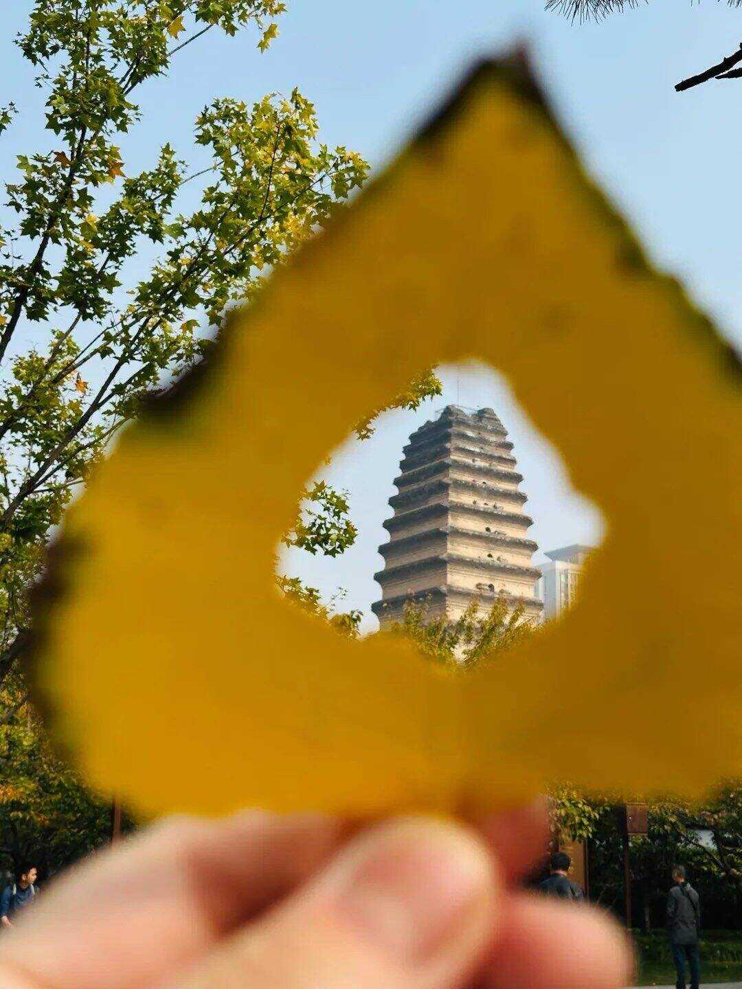 00000000tMMJOgRoQvTeIXjC 00000000tMMJOgRoQvTeIXjC