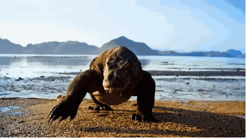 00000000uBSMnjjVGHpkkntv