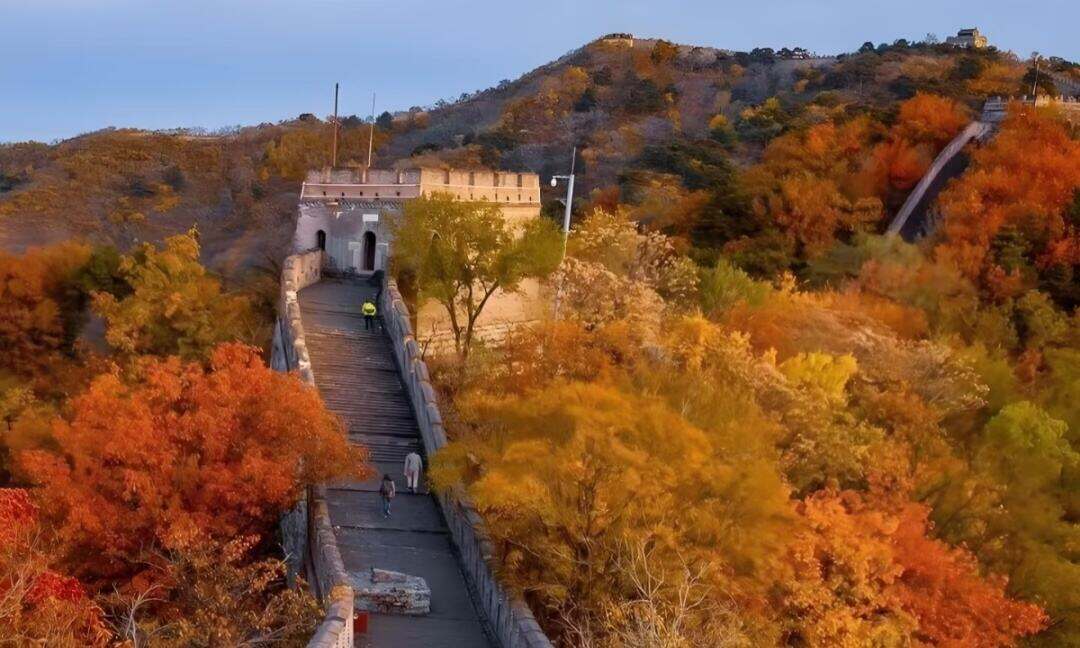 00000000ueIfmJncrYVZoOnv